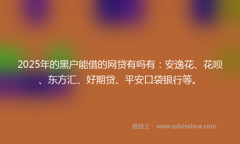 2025年的黑户能借的网贷有吗有：安逸花、花呗、东方汇、好期贷、平安口袋银行等。