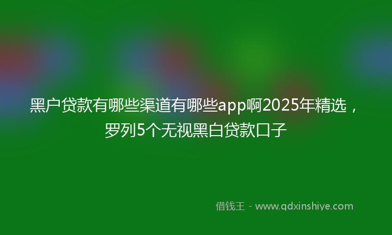 黑户贷款有哪些渠道有哪些app啊2025年精选，罗列5个无视黑白贷款口子