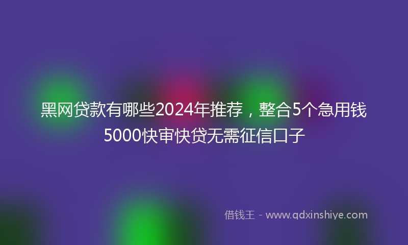 黑网贷款有哪些2024年推荐，整合5个急用钱5000快审快贷无需征信口子