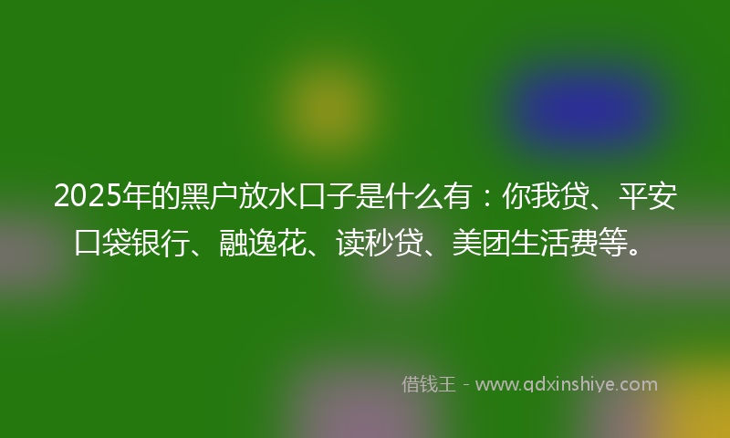 2025年的黑户放水口子是什么有：你我贷、平安口袋银行、融逸花、读秒贷、美团生活费等。