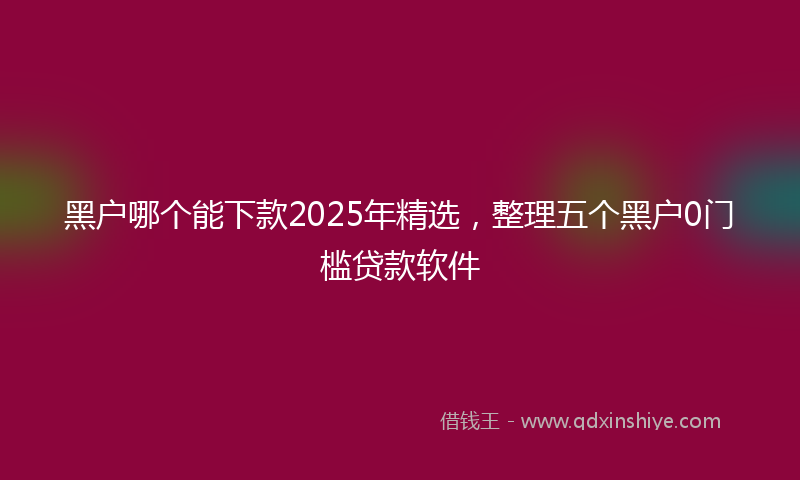 黑户哪个能下款2025年精选，整理五个黑户0门槛贷款软件