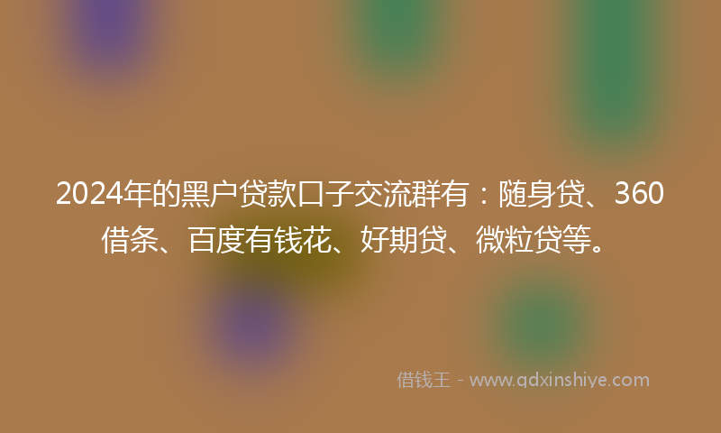2024年的黑户贷款口子交流群有：随身贷、360借条、百度有钱花、好期贷、微粒贷等。