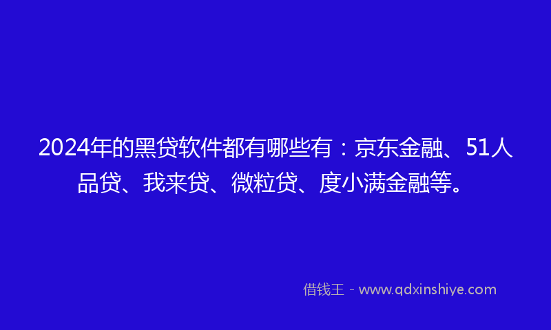 2024年的黑贷软件都有哪些有：京东金融、51人品贷、我来贷、微粒贷、度小满金融等。