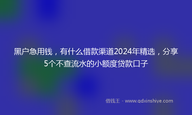 黑户急用钱，有什么借款渠道2024年精选，分享5个不查流水的小额度贷款口子