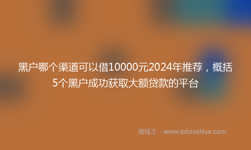 黑户哪个渠道可以借10000元2024年推荐，概括5个黑户成功获取大额贷款的平台