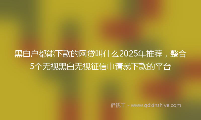 黑白户都能下款的网贷叫什么2025年推荐，整合5个无视黑白无视征信申请就下款的平台