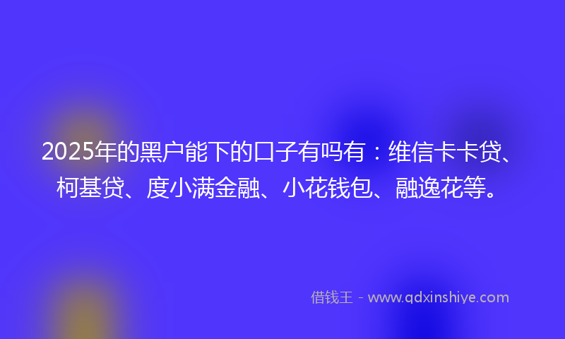 2025年的黑户能下的口子有吗有：维信卡卡贷、柯基贷、度小满金融、小花钱包、融逸花等。