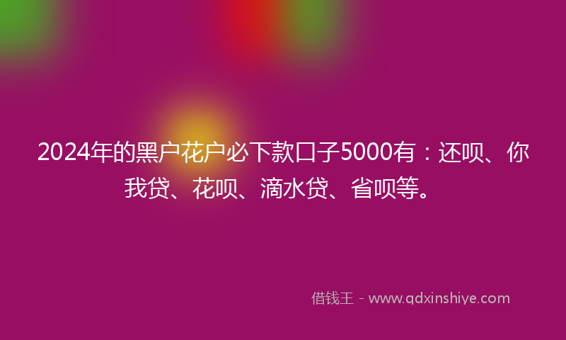 2024年的黑户花户必下款口子5000有：还呗、你我贷、花呗、滴水贷、省呗等。