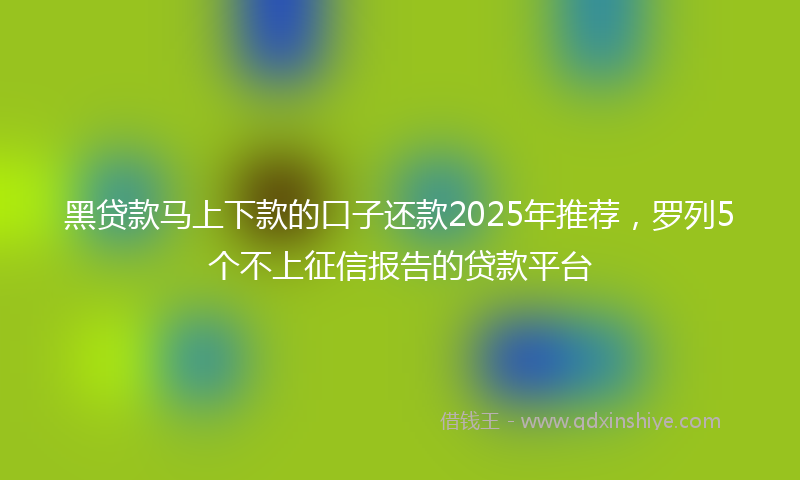 黑贷款马上下款的口子还款2025年推荐，罗列5个不上征信报告的贷款平台