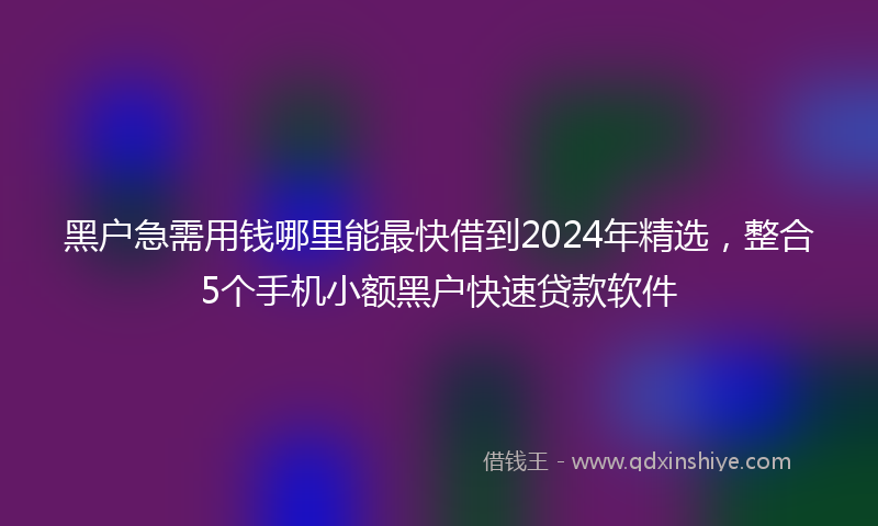 黑户急需用钱哪里能最快借到2024年精选，整合5个手机小额黑户快速贷款软件
