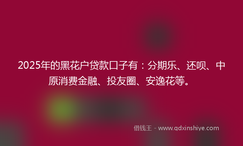 2025年的黑花户贷款口子有：分期乐、还呗、中原消费金融、投友圈、安逸花等。
