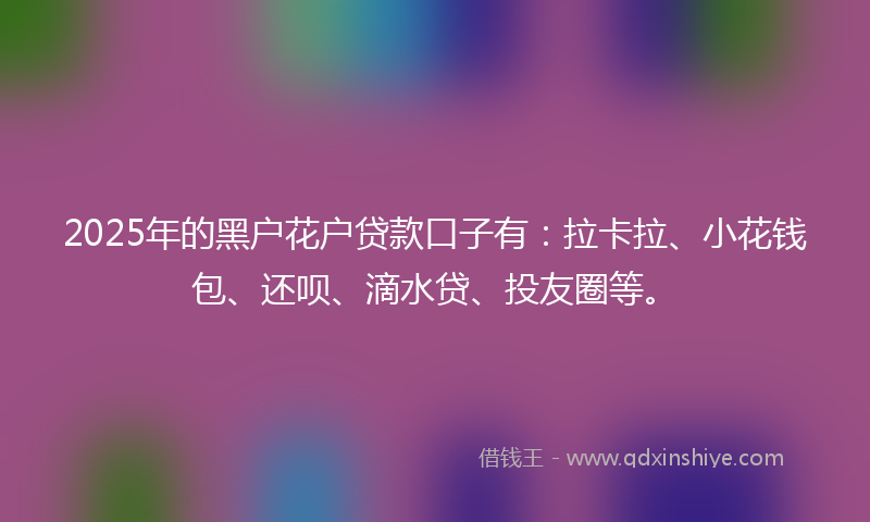 2025年的黑户花户贷款口子有：拉卡拉、小花钱包、还呗、滴水贷、投友圈等。