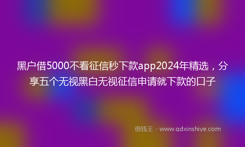 黑户借5000不看征信秒下款app2024年精选，分享五个无视黑白无视征信申请就下款的口子