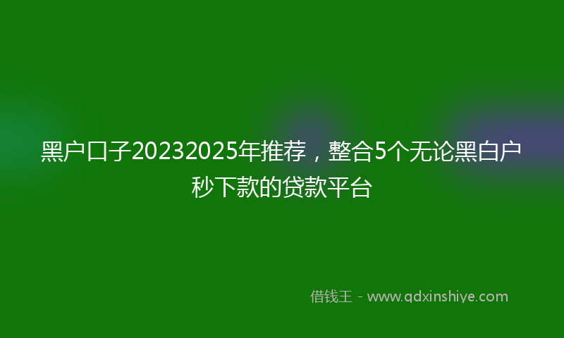 黑户口子20232025年推荐，整合5个无论黑白户秒下款的贷款平台