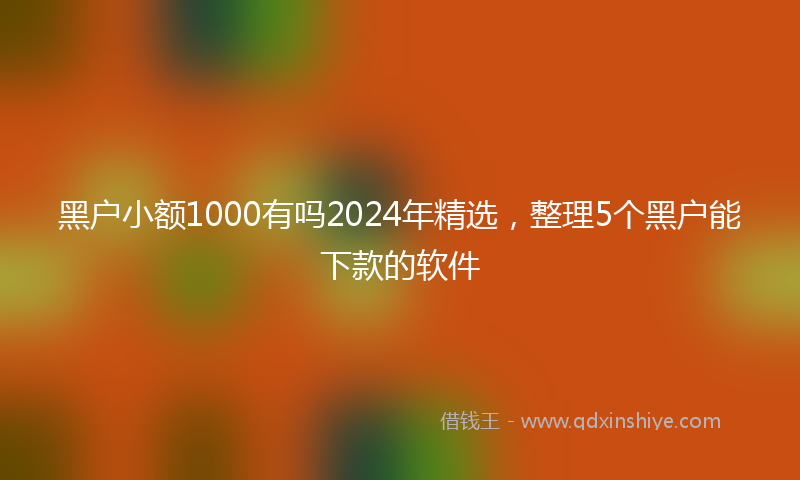 黑户小额1000有吗2024年精选，整理5个黑户能下款的软件