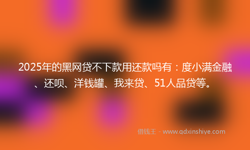 2025年的黑网贷不下款用还款吗有：度小满金融、还呗、洋钱罐、我来贷、51人品贷等。
