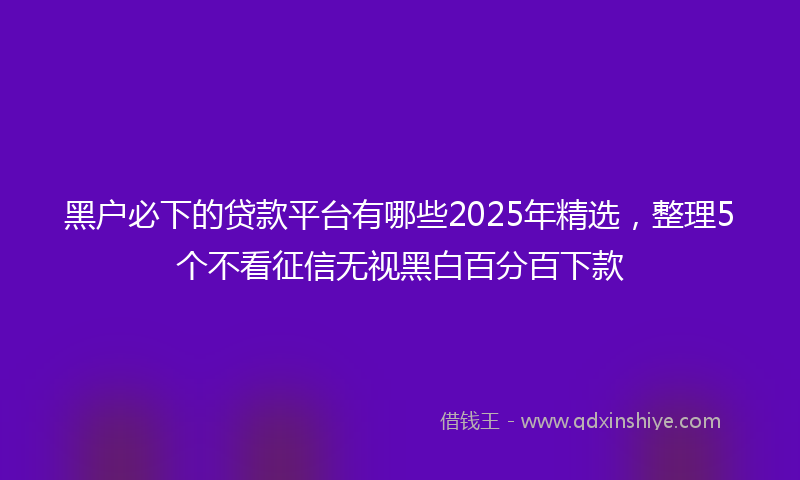 黑户必下的贷款平台有哪些2025年精选，整理5个不看征信无视黑白百分百下款
