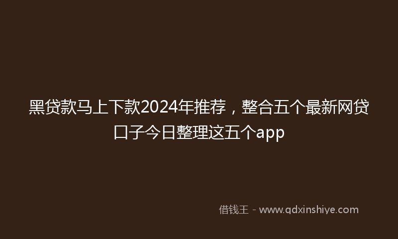 黑贷款马上下款2024年推荐，整合五个最新网贷口子今日整理这五个app