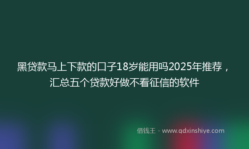 黑贷款马上下款的口子18岁能用吗2025年推荐，汇总五个贷款好做不看征信的软件