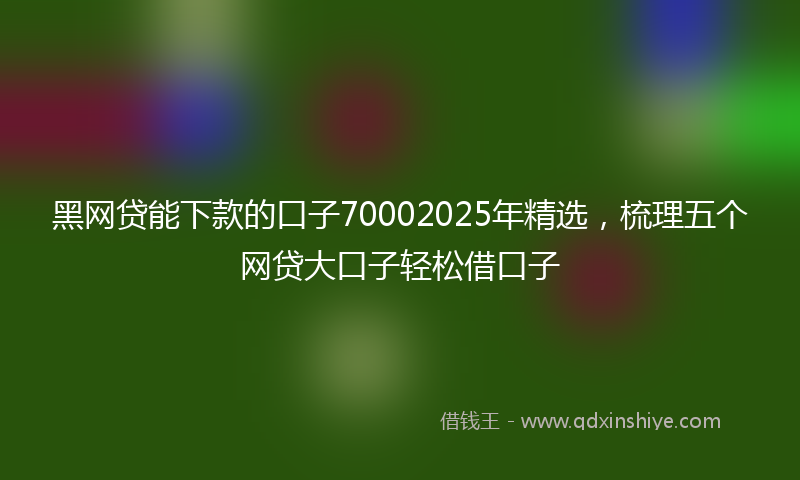 黑网贷能下款的口子70002025年精选，梳理五个网贷大口子轻松借口子