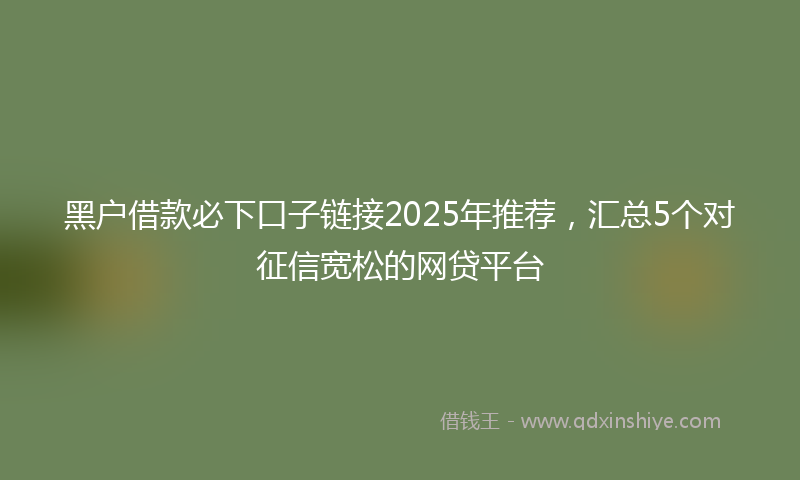 黑户借款必下口子链接2025年推荐，汇总5个对征信宽松的网贷平台