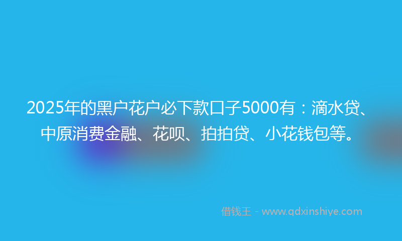 2025年的黑户花户必下款口子5000有：滴水贷、中原消费金融、花呗、拍拍贷、小花钱包等。
