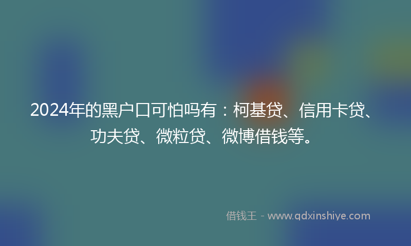 2024年的黑户口可怕吗有：柯基贷、信用卡贷、功夫贷、微粒贷、微博借钱等。