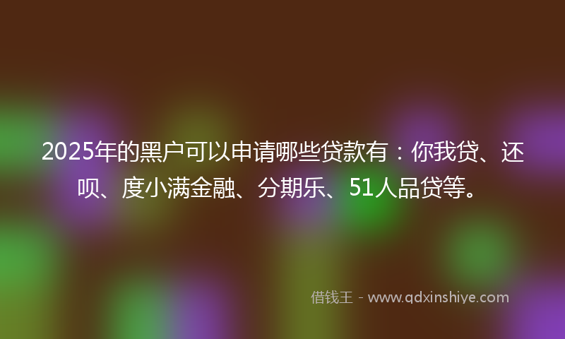 2025年的黑户可以申请哪些贷款有：你我贷、还呗、度小满金融、分期乐、51人品贷等。