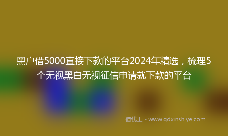 黑户借5000直接下款的平台2024年精选，梳理5个无视黑白无视征信申请就下款的平台