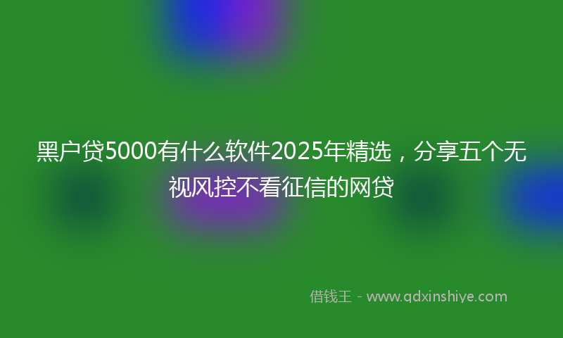 黑户贷5000有什么软件2025年精选，分享五个无视风控不看征信的网贷