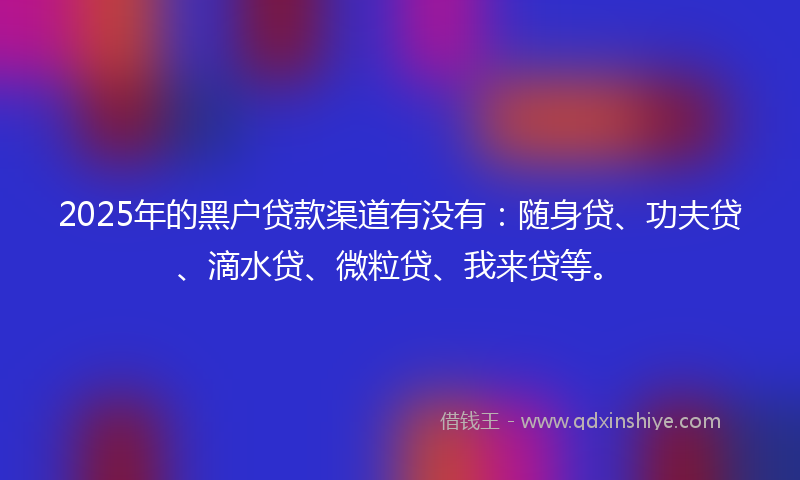 2025年的黑户贷款渠道有没有：随身贷、功夫贷、滴水贷、微粒贷、我来贷等。