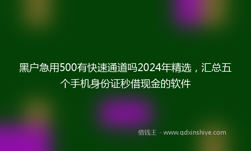 黑户急用500有快速通道吗2024年精选,汇总五个手机身份证秒借现金的软件