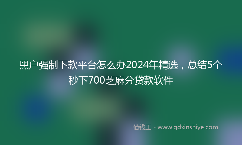 黑户强制下款平台怎么办2024年精选，总结5个秒下700芝麻分贷款软件