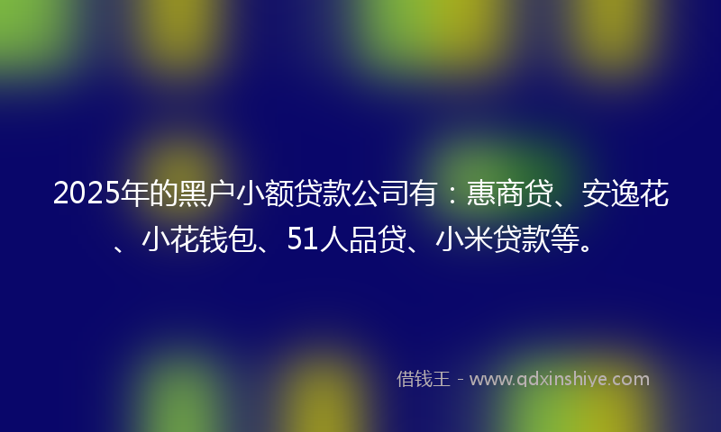 2025年的黑户小额贷款公司有：惠商贷、安逸花、小花钱包、51人品贷、小米贷款等。