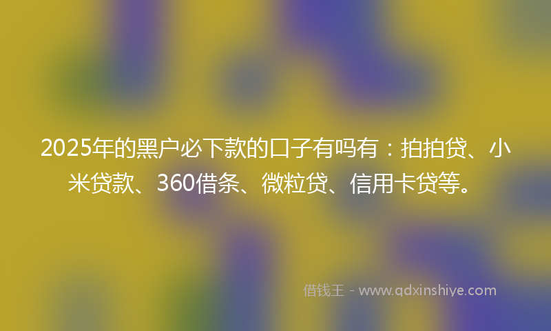 2025年的黑户必下款的口子有吗有：拍拍贷、小米贷款、360借条、微粒贷、信用卡贷等。