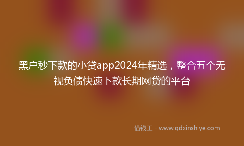 黑户秒下款的小贷app2024年精选，整合五个无视负债快速下款长期网贷的平台