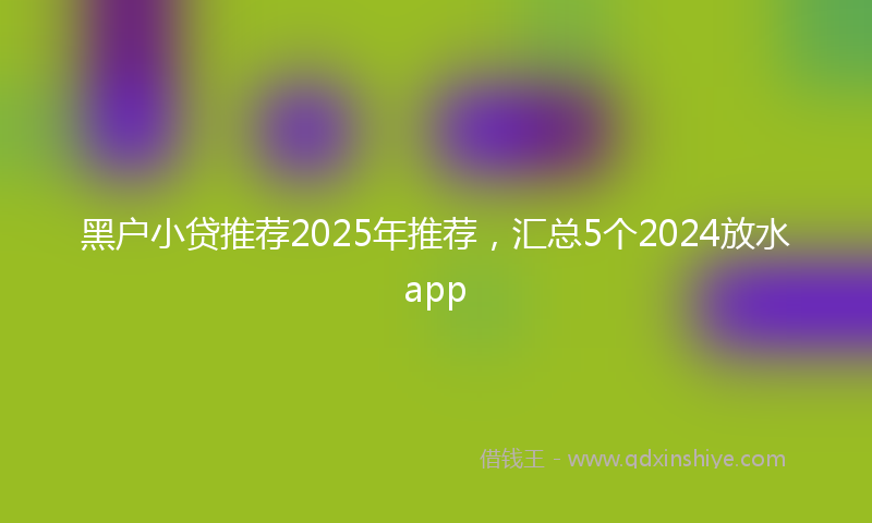 黑户小贷推荐2025年推荐，汇总5个2024放水app