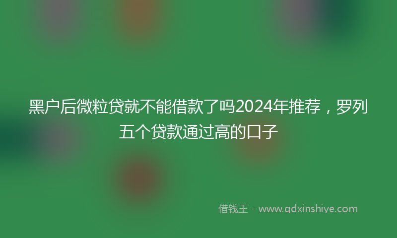 黑户后微粒贷就不能借款了吗2024年推荐，罗列五个贷款通过高的口子