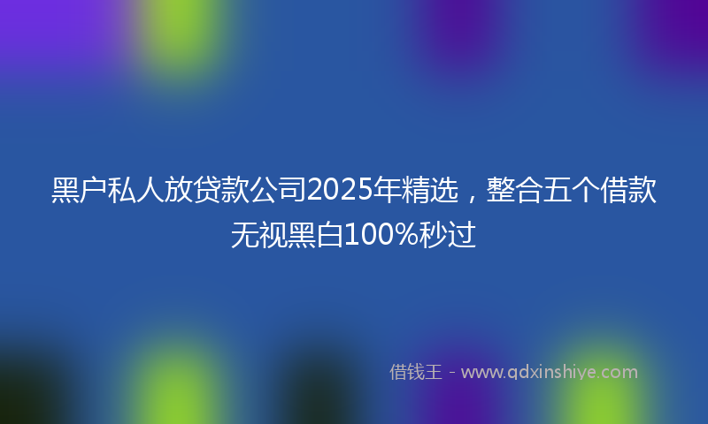 黑户私人放贷款公司2025年精选，整合五个借款无视黑白100%秒过
