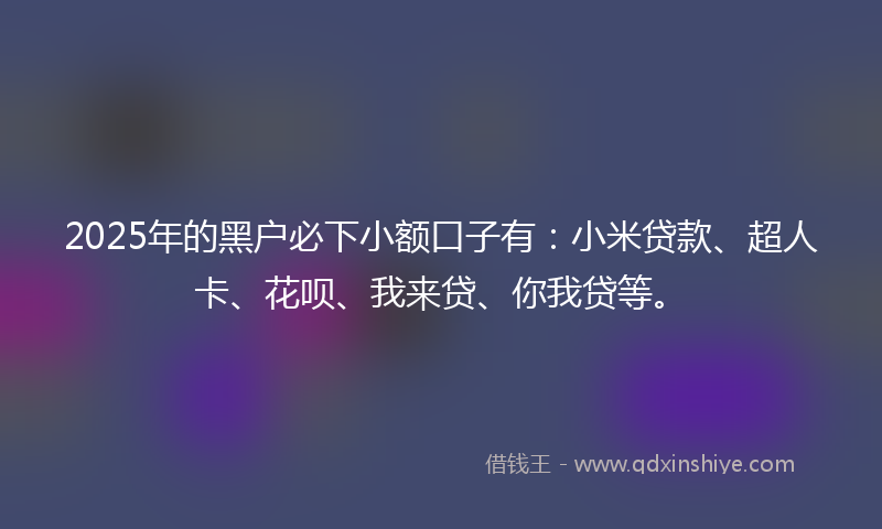 2025年的黑户必下小额口子有：小米贷款、超人卡、花呗、我来贷、你我贷等。