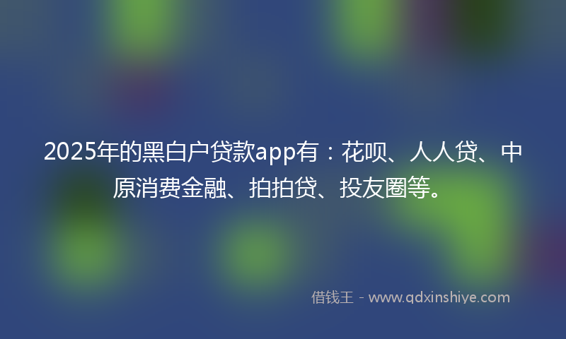 2025年的黑白户贷款app有：花呗、人人贷、中原消费金融、拍拍贷、投友圈等。