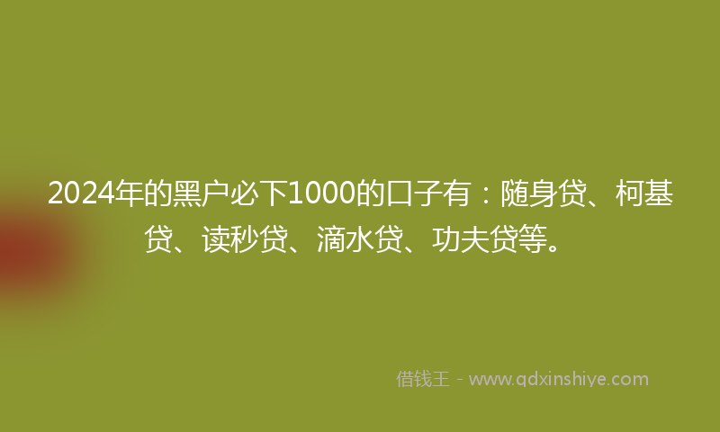 2024年的黑户必下1000的口子有：随身贷、柯基贷、读秒贷、滴水贷、功夫贷等。