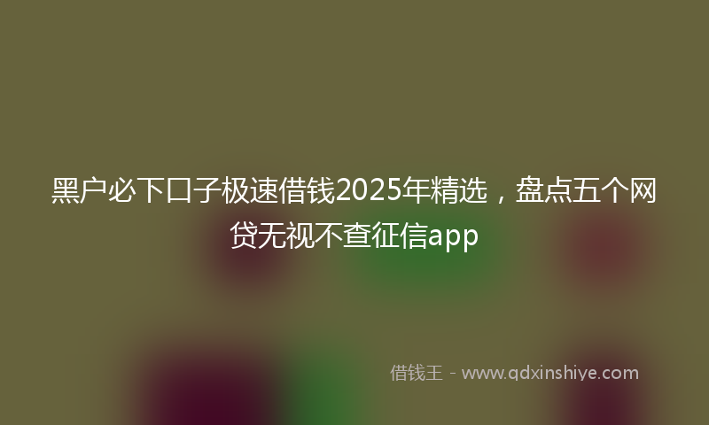黑户必下口子极速借钱2025年精选，盘点五个网贷无视不查征信app