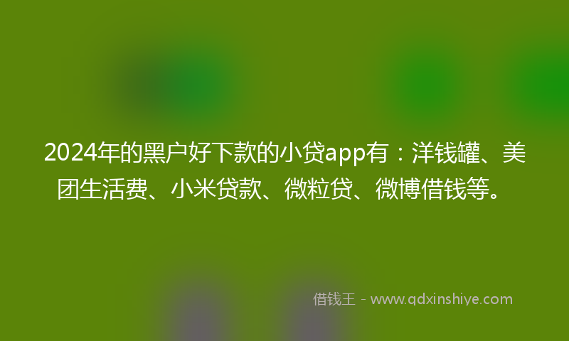 2024年的黑户好下款的小贷app有：洋钱罐、美团生活费、小米贷款、微粒贷、微博借钱等。