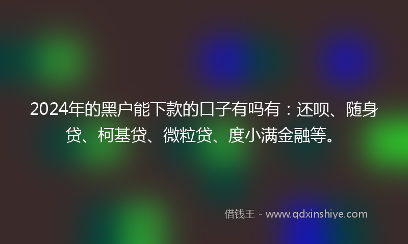 2024年的黑户能下款的口子有吗有：还呗、随身贷、柯基贷、微粒贷、度小满金融等。