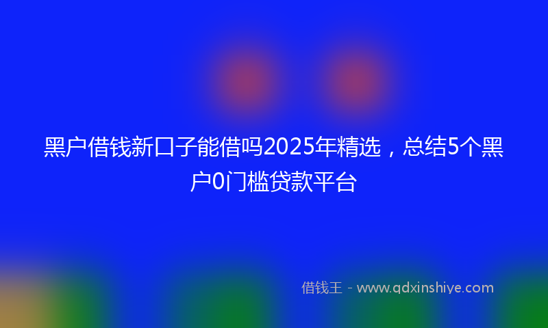 黑户借钱新口子能借吗2025年精选，总结5个黑户0门槛贷款平台