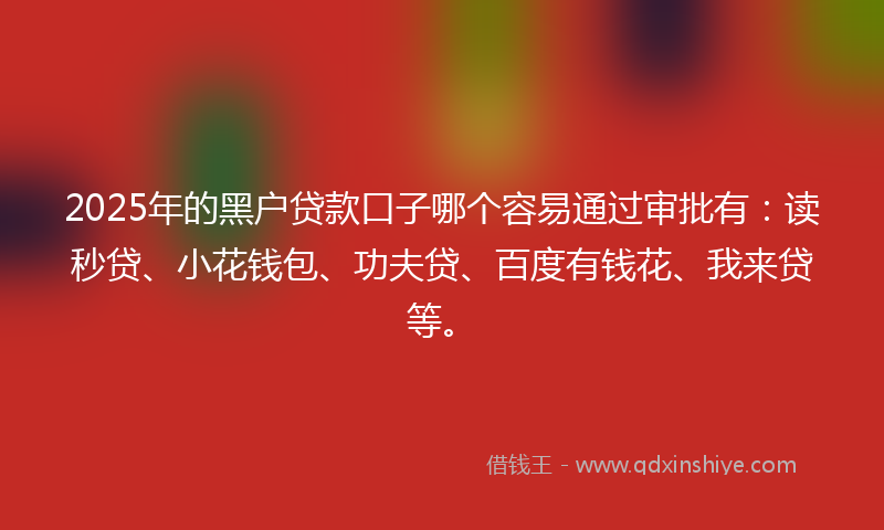 2025年的黑户贷款口子哪个容易通过审批有：读秒贷、小花钱包、功夫贷、百度有钱花、我来贷等。