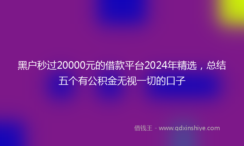 黑户秒过20000元的借款平台2024年精选，总结五个有公积金无视一切的口子