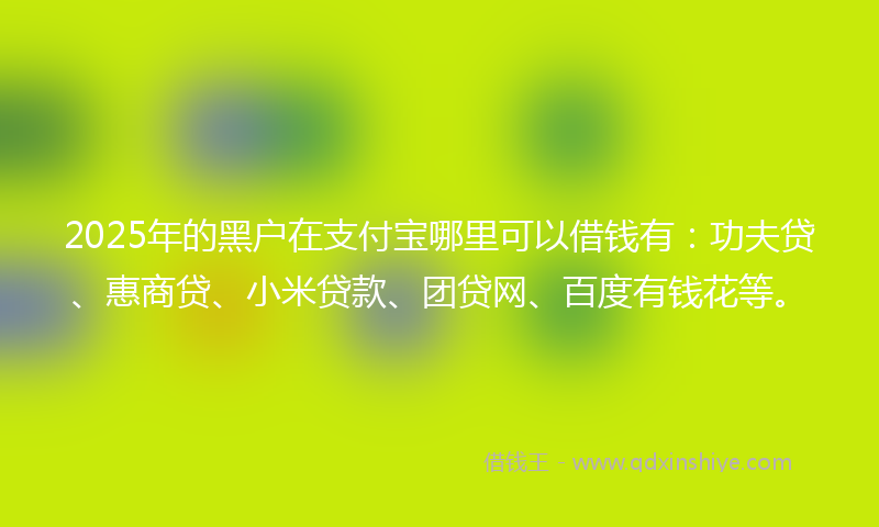 2025年的黑户在支付宝哪里可以借钱有：功夫贷、惠商贷、小米贷款、团贷网、百度有钱花等。