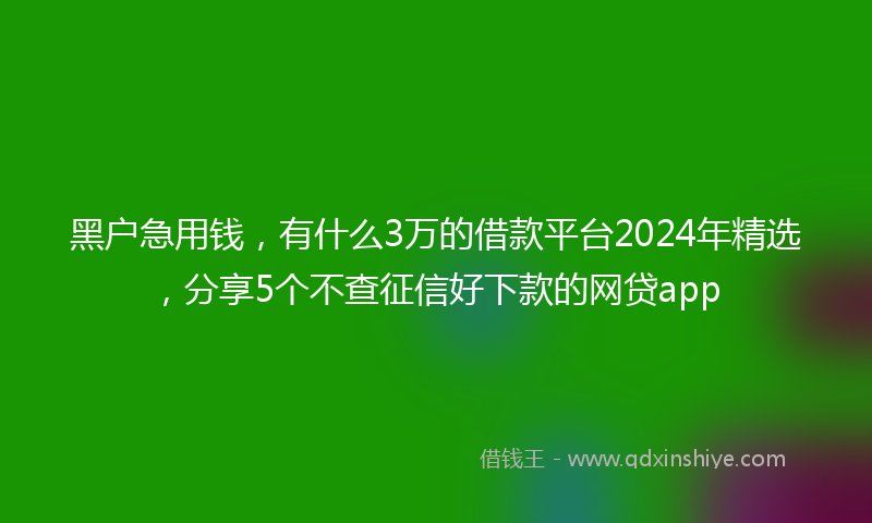 黑户急用钱，有什么3万的借款平台2024年精选，分享5个不查征信好下款的网贷app